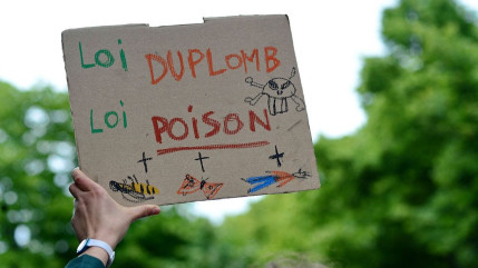 Loi Duplomb, EELV 05 demande &agrave; J-M Arnaud de revenir sur sa position