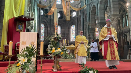 Mort du pape Fran&ccedil;ois : une messe d'action de Gr&acirc;ce organis&eacute;e &agrave; Gap, les cloches vont r&eacute;sonner &agrave; 20h, ce qu'il faut savoir