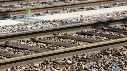 Plus aucun train entre Grenoble et Gap pendant un mois : voici ce qui change
