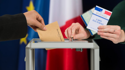 Pour les municipales, deux listes soutenues par Les Ecologistes EELV 05