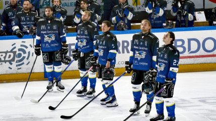 Rapaces de Gap : le CA étudie plusieurs possibilités pour "redresser la situation" Rapaces de Gap : le CA étudie plusieurs possibilités pour "redresser la situation"