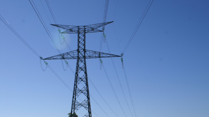 Un arbre tombe sur une ligne &eacute;lectrique, 90 abonn&eacute;s impact&eacute;s au Noyer
