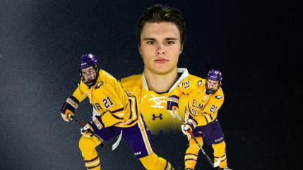 Un attaquant letton arrive chez les Rapaces