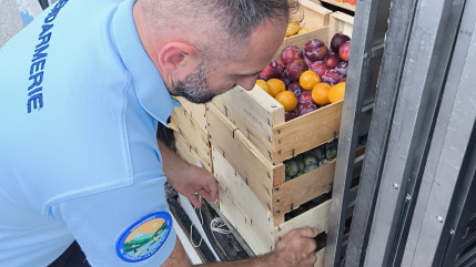 Un contrevenant de la route fait don de sa marchandise &agrave; une association de Chorges