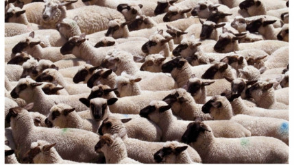 « Un débat honnête et constructif plutôt que des accusations mensongères » « Un débat honnête et constructif plutôt que des accusations mensongères »