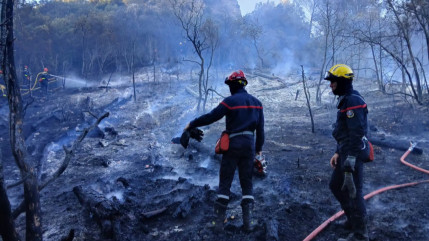 Un feu se d&eacute;clare sur les hauteurs de La Roche-des-Arnauds, les Canadair entrent en action