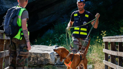 Un octog&eacute;naire retrouv&eacute; en vie apr&egrave;s 24h de recherches