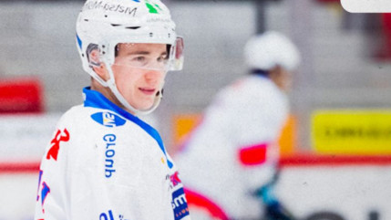 Un renfort en attaque pour les Rapaces